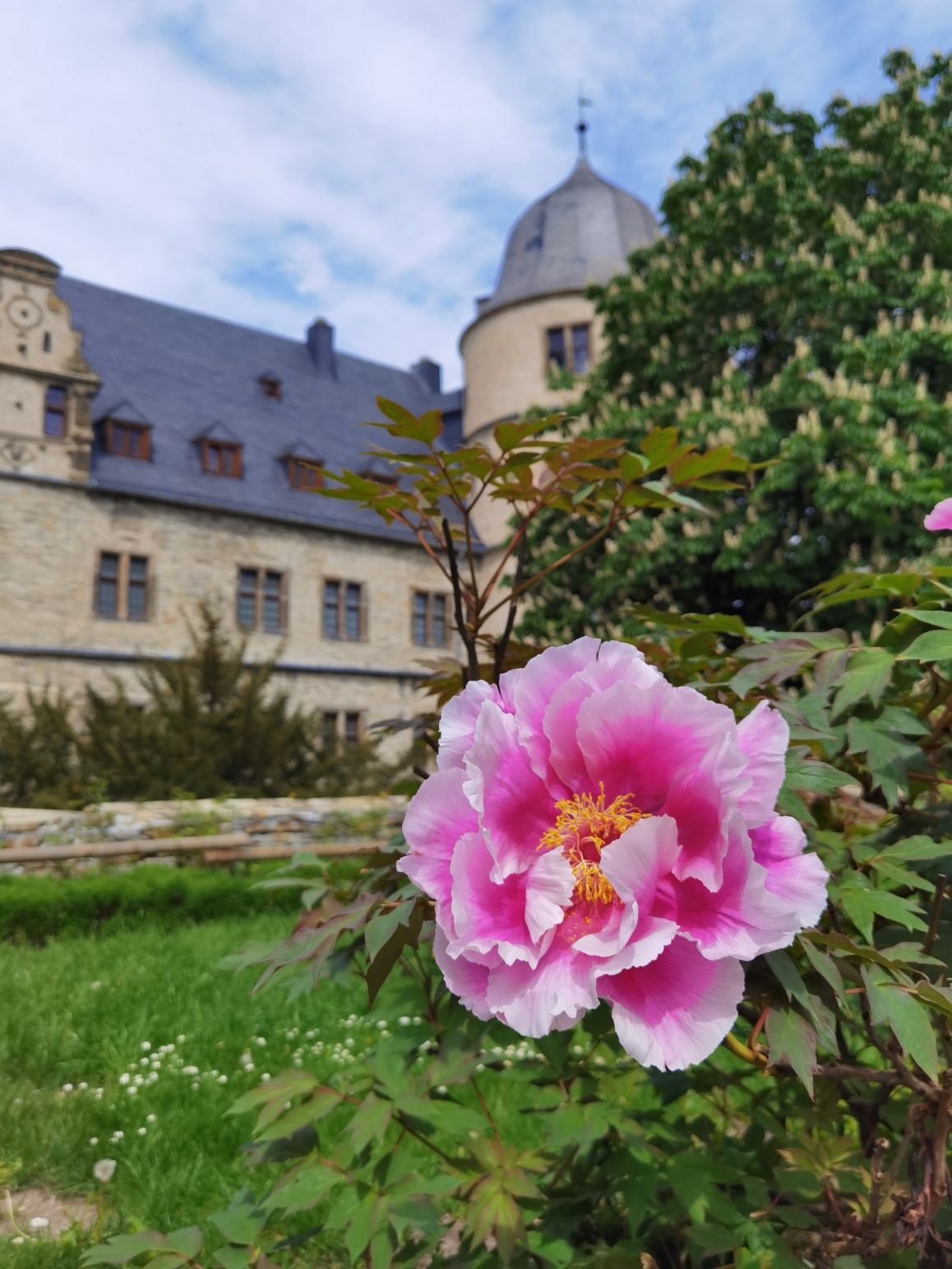 2023-05-14_Julia Tegethoff_1